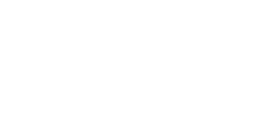 Digital Polyglot